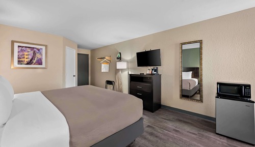 Room, 1 King Bed, Non Smoking
