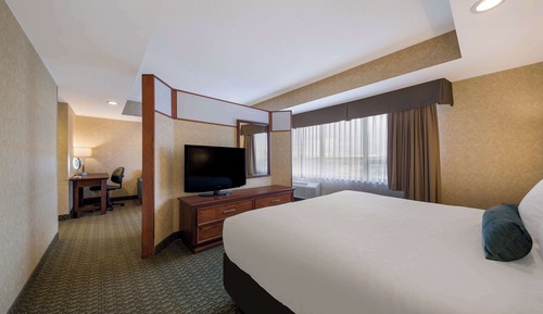 Suite, 1 King Bed, Non Smoking, Microwave (with Sofabed)
