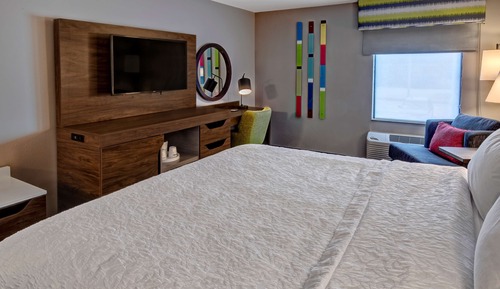 Room, 1 King Bed, Accessible (Roll-In Shower)