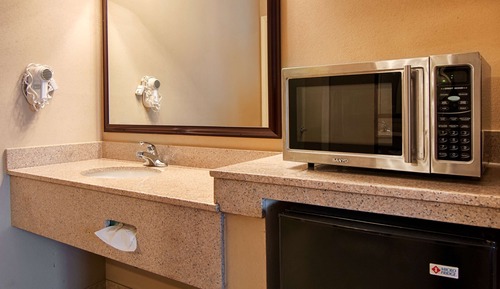 Standard Room, 1 King Bed, Non Smoking, Refrigerator & Microwave