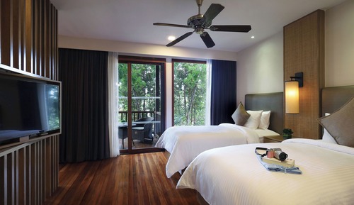 Rainforest Studio