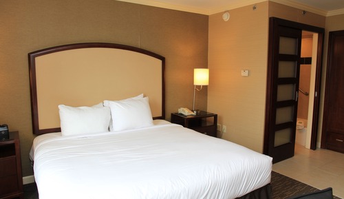 Room, 1 King Bed (City View)
