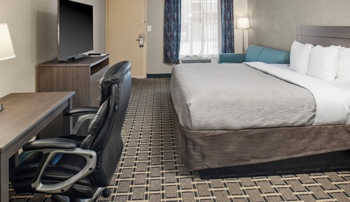 Standard Room, 1 King Bed with Sofa bed, Non Smoking