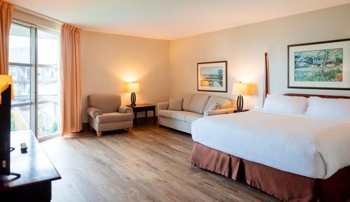 Standard Single Room, 1 King Bed with Sofa bed