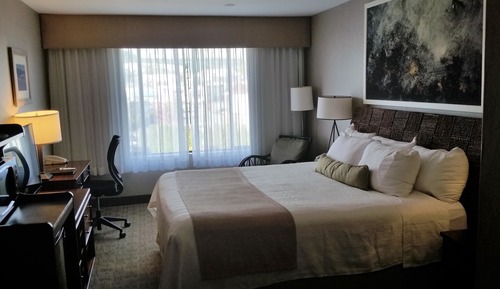 Standard Room, 1 Queen Bed, Refrigerator & Microwave, City View