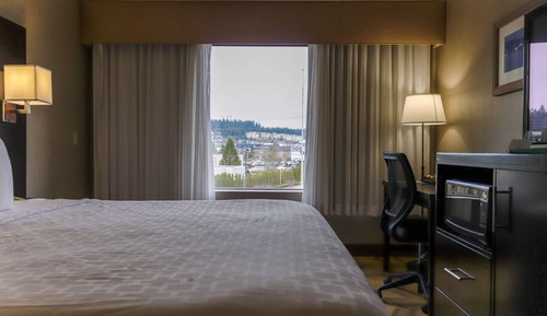 Standard Room, 1 King Bed, Refrigerator & Microwave, City View