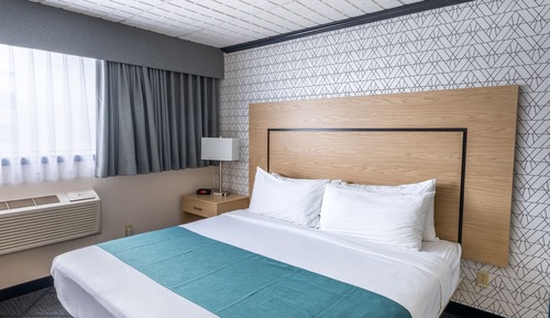 Room, 1 Queen Bed, Mobility Accessible, Non Smoking (Roll-In Shower)