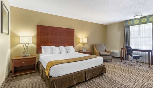 Standard Room, 1 King Bed, Non Smoking