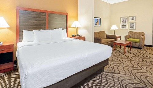 Deluxe Suite, 1 King Bed (Deluxe Executive Suite)