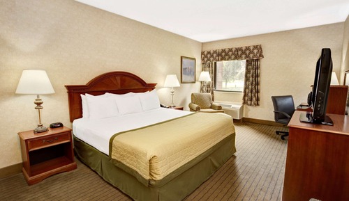 Standard Room, 1 King Bed, Non Smoking