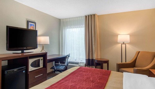 Standard Room, 1 King Bed, Non Smoking