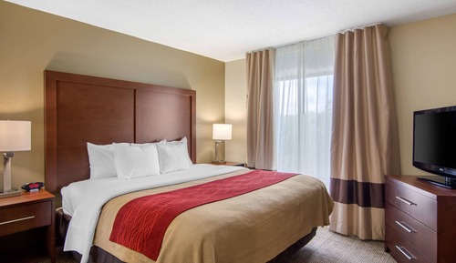 Suite, 1 King Bed, Non Smoking