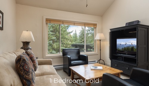 Deluxe Condo