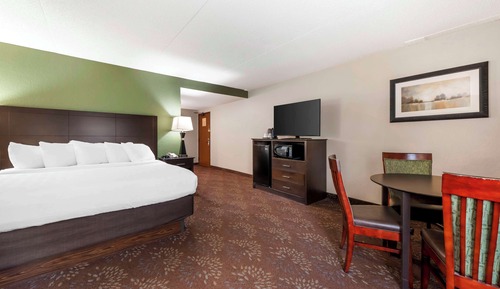 Standard Room, 1 King Bed, Non Smoking, Refrigerator & Microwave (Oversized Room;with Sofabed)