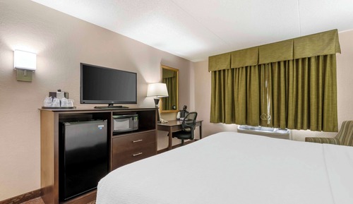 Standard Room, 1 King Bed, Non Smoking, Refrigerator & Microwave