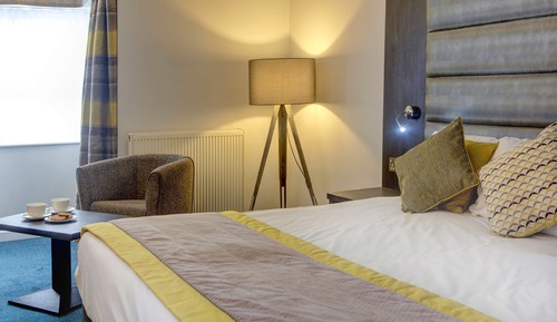 Superior Room, 1 King Bed, Non Smoking