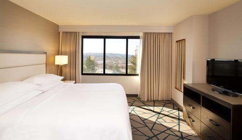 Room, 1 King Bed, Non Smoking