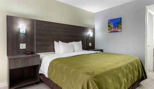 Room, 1 King Bed, Accessible, Non Smoking