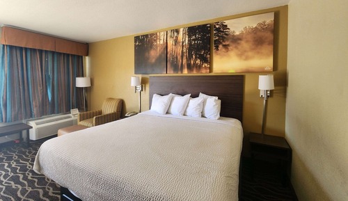 Room, 1 King Bed, Accessible, Non Smoking