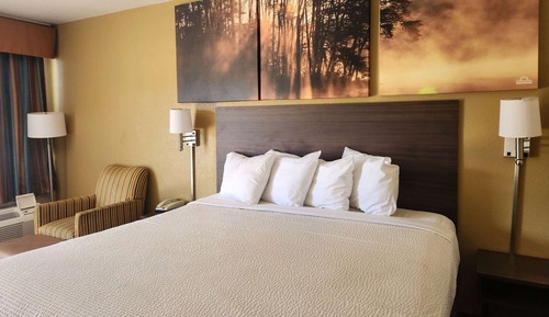 Standard Room, 1 King Bed, Smoking