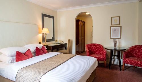 Executive Double Room (King, Single Occupancy)