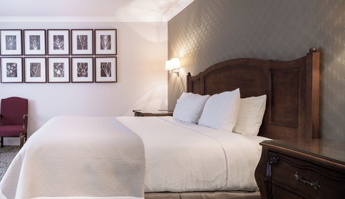 Deluxe Room, 1 Queen Bed, Non Smoking, City View
