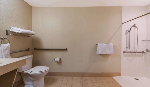 Room, 1 King Bed, Accessible with Roll In Shower, Non Smoking