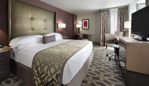 Room, 1 King Bed
