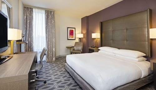 Room, 1 King Bed, Allergy Friendly