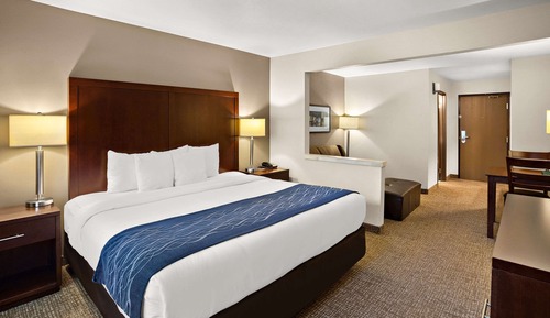 Suite, 1 King Bed with Sofa bed