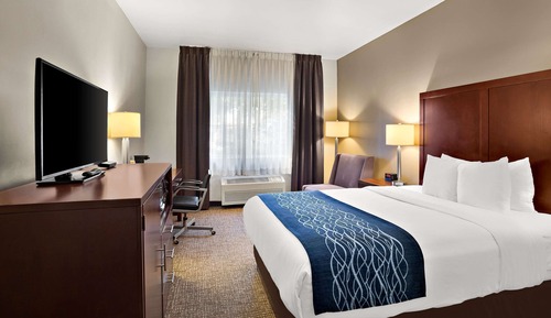 Standard Room, 1 King Bed, Non Smoking