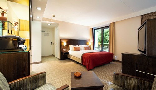 Executive Room, 1 King Bed