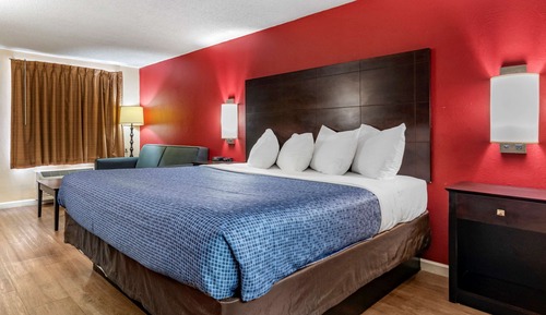 Room, 1 King Bed with Sofa bed, Non Smoking
