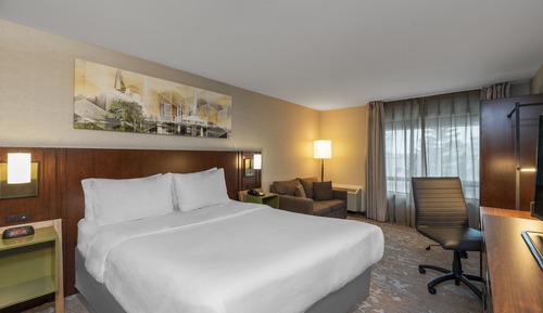 Room, 1 King Bed with Sofa bed, Non Smoking