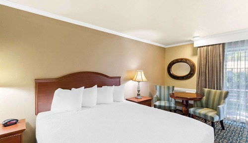 Standard Room, 1 King Bed, Non Smoking, Refrigerator & Microwave (Pet Friendly)