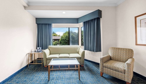 Standard Room, 1 King Bed with Sofa bed, Accessible, Bathtub (with Sofabed)