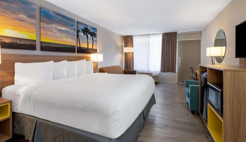 Room, 1 King Bed with Sofa bed, Accessible, Non Smoking (Mobility, Hearing, Roll-In Shower)