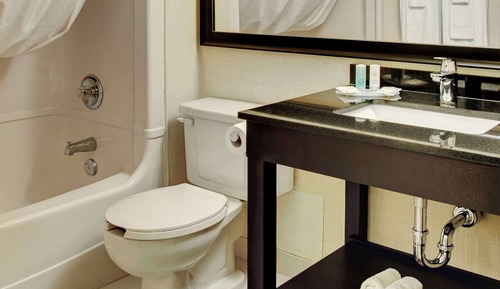 Deluxe Room, 1 King Bed, Refrigerator & Microwave