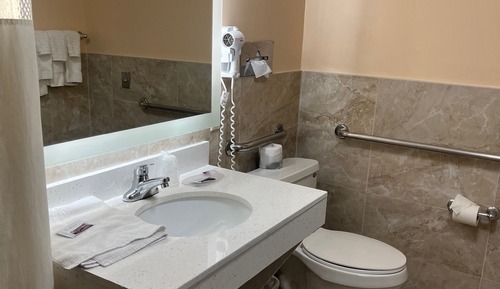 Standard Room, 1 King Bed with Sofa bed, Non Smoking, Refrigerator (with Sofabed)
