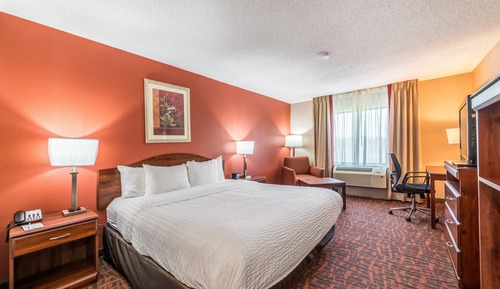 Standard Room, 1 King Bed, Non Smoking