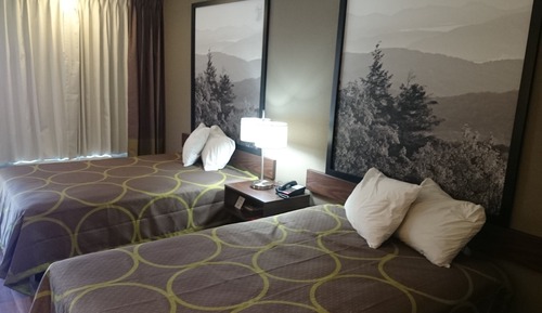 Room, 1 Double Bed, Accessible, Non Smoking (Mobility)