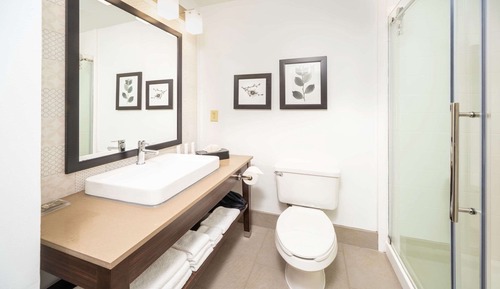 King, Studio Suite, 1 King Bed, Non Smoking