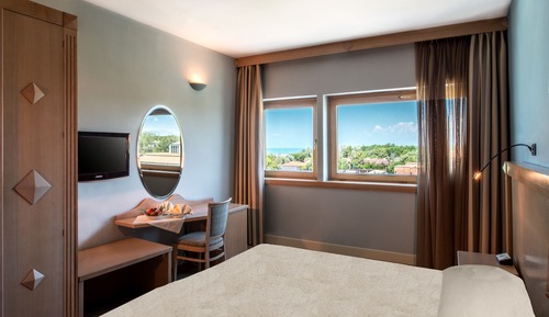 Double Room Single Use
