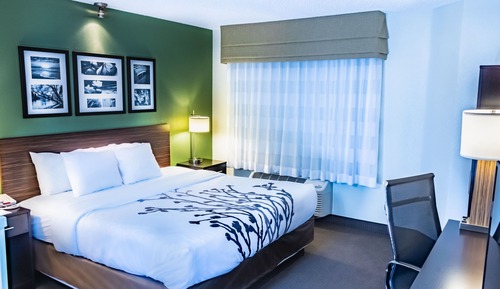 Room, 1 King Bed, Accessible, Non Smoking