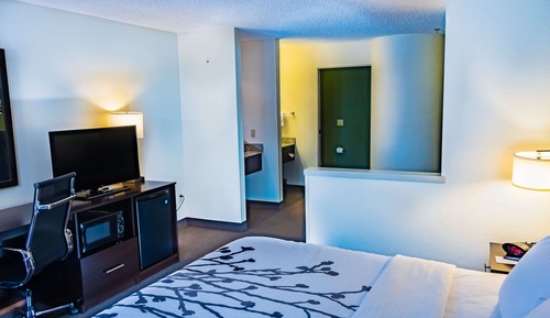 Suite, 1 King Bed with Sofa bed, Non Smoking
