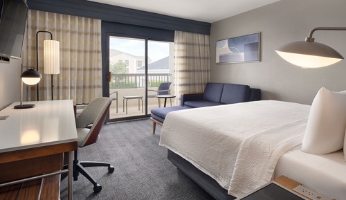 Room, 1 King Bed with Sofa bed (Mobility Accessible, Roll-in Shower)