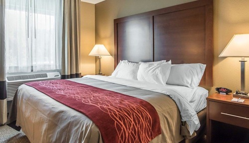 Room, 1 King Bed, Accessible, Non Smoking