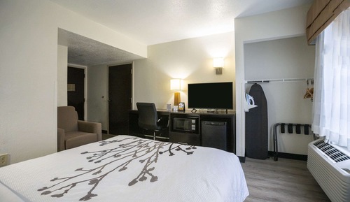 Room, 1 Queen Bed, Accessible, Non Smoking