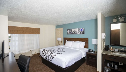 Standard Room, 1 King Bed, Non Smoking
