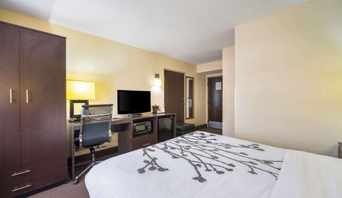 Room, 1 Queen Bed, Accessible, Non Smoking